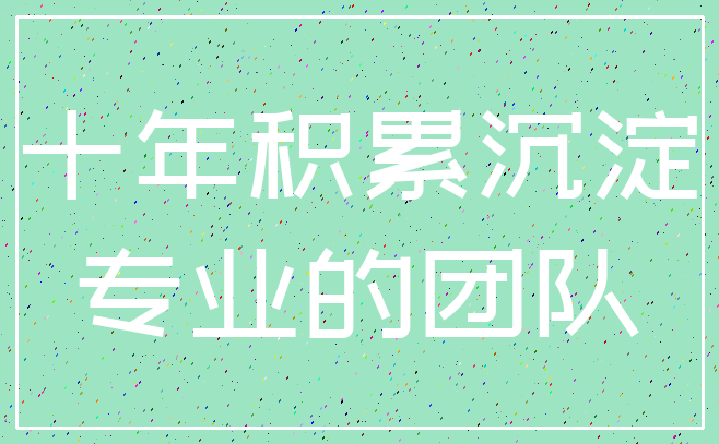 十年积累沉淀_专业的团队