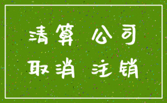 小规模公司注销原因怎么写