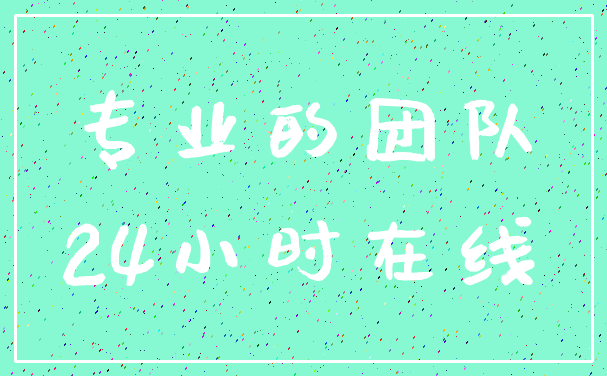 专业的团队_24小时在线