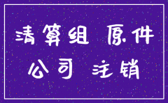 公司注销填什么资料