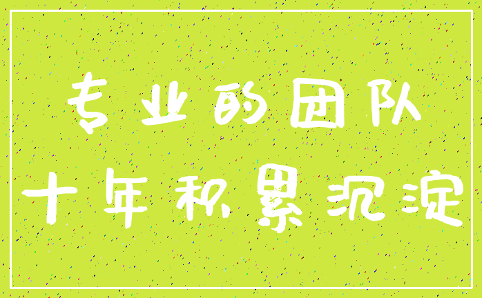 专业的团队_十年积累沉淀