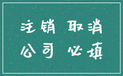 地税公司保险号怎么注销