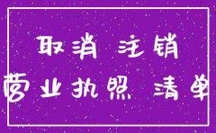 没营业的公司能网上注销吗