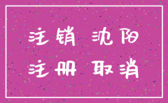 沈阳注销的公司名