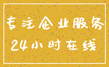 专注企业服务_24小时在线