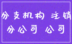 总公司同意分公司注销说明模版