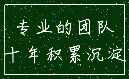 专业的团队_十年积累沉淀