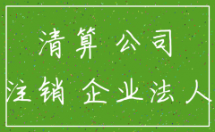 被注销公司能否作为原告起诉