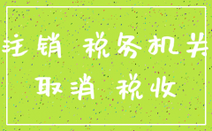 工商年报 公司注销