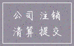 五大员公司如何注销