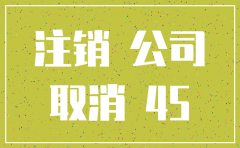 上海分注销公司流程图