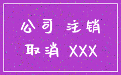 注销分公司的注销决定