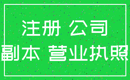 注册 公司_副本 营业执照