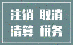 公司注销的诉讼
