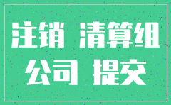 未营业的公司注销流程及材料