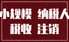 小规模纳税人注销公司需要什么资料