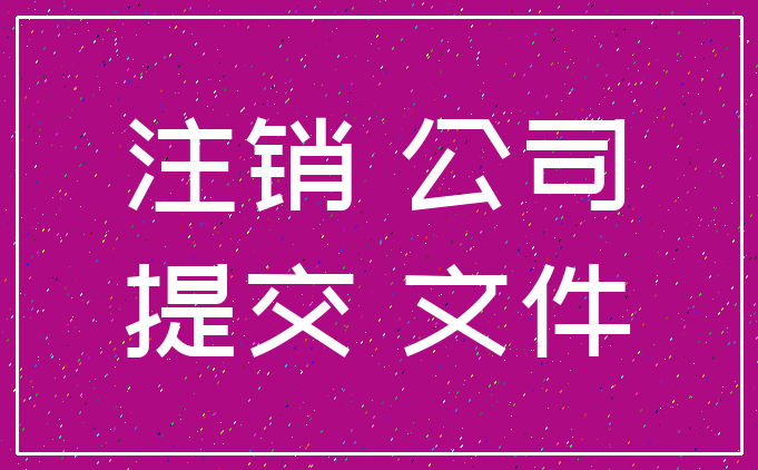 注销 公司_提交 文件