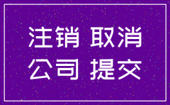 武汉市公司注销程序