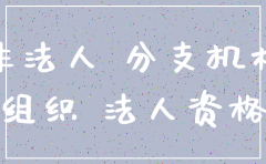 分公司为非法人机构注销