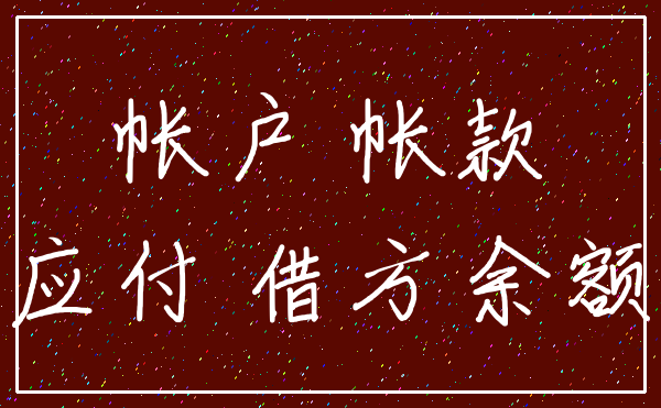 帐户 帐款_应付 借方余额