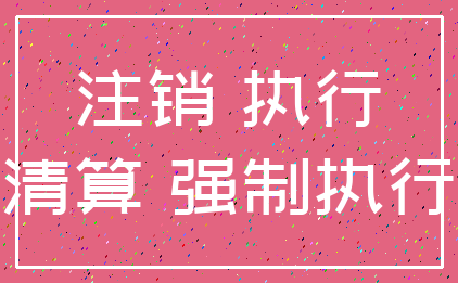 注销 执行_清算 强制执行