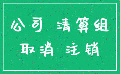 注销集团公司有什么要求
