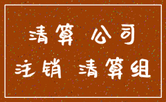 如何写公司注销备案申请报告