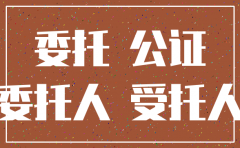 注销公司公证处公证需要的材料