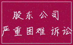 公司注销做出解散的决议