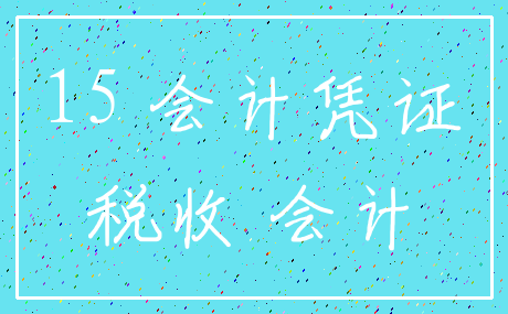 15 会计凭证_税收 会计