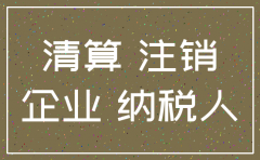 注销公司税务需要什么账本