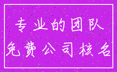 专业的团队_免费公司核名