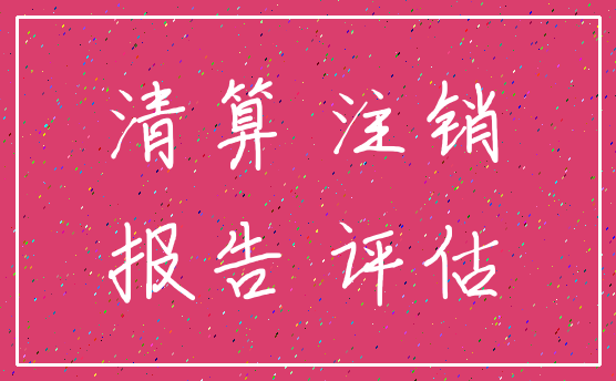 清算 注销_报告 评估
