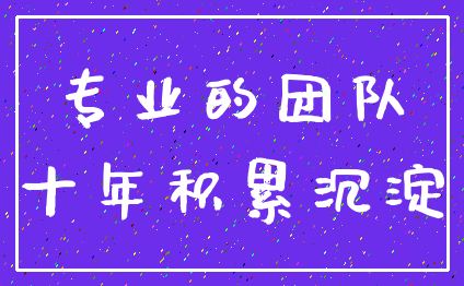 专业的团队_十年积累沉淀