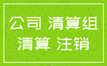 公司 清算组_清算 注销