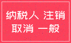 公司申请注销办理退税