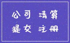 分公司注销申报告