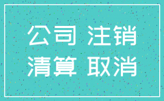 分子公司注销流程图