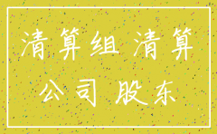 注销公司没实际出资怎么办