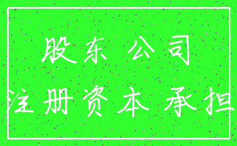 股东 公司_注册资本 承担