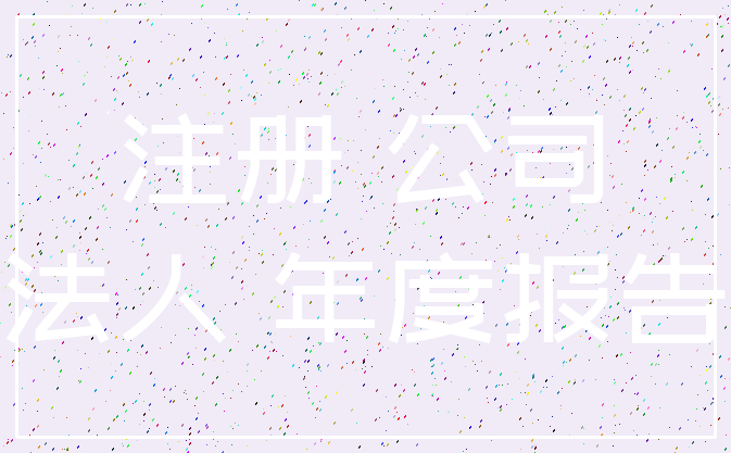 注册 公司_法人 年度报告