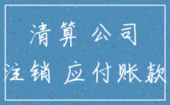 公司注销应收投资人款怎么处理