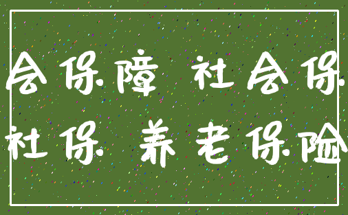 社会保障 社会保险_社保 养老保险