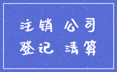 外地公司注销在哪里起诉