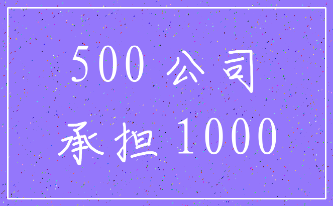 500 公司_承担 1000