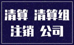 公司注销企业财产清算
