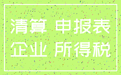 清算 申报表_企业 所得税