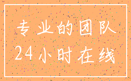 专业的团队_24小时在线