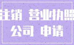 网上可否注销公司