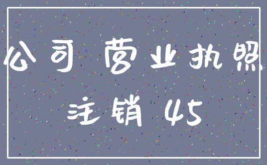 公司 营业执照_注销 45